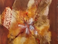 5 geboorte, 20x20