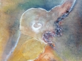 ontwaak 6