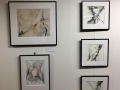 expositie