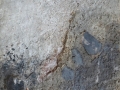 DSC02182-2